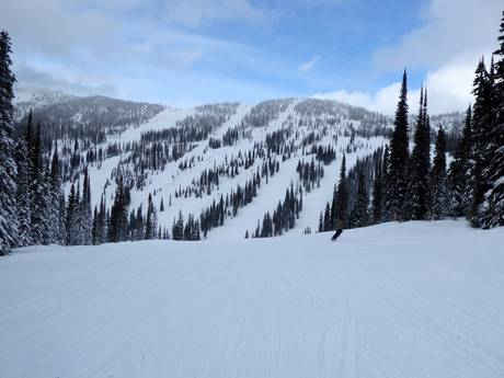 Selkirk Mountains: Größe der Skigebiete – Größe Whitewater – Nelson