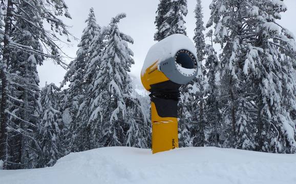 Schneesicherheit Monashee Mountains – Schneesicherheit Red Mountain Resort – Rossland