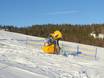 Schneesicherheit Lammertal – Schneesicherheit Postalm am Wolfgangsee