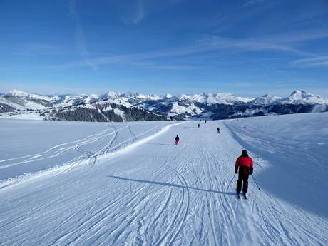 Pistenangebot Zell am See – Pistenangebot KitzSki – Kitzbühel/Kirchberg