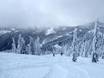 Skigebiete für Könner und Freeriding British Columbia – Könner, Freerider Red Mountain Resort – Rossland