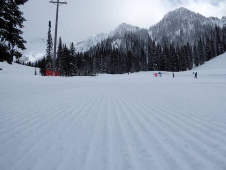 Pistenpräparierung Selkirk Mountains – Pistenpräparierung Whitewater – Nelson