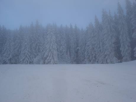 Skigebiete für Anfänger in der Urlaubsregion Ammergauer Alpen – Anfänger Hörnle – Bad Kohlgrub