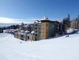 Neue Snowbird Lodge