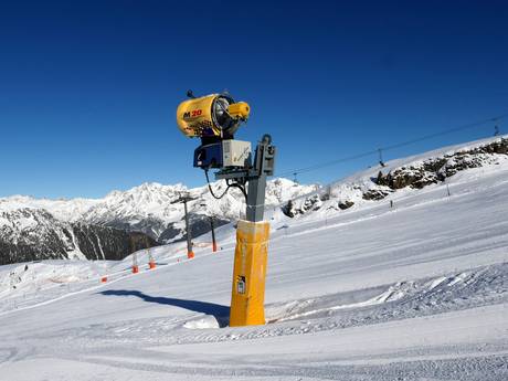 Schneesicherheit Skischaukel Kappl & See – Schneesicherheit See