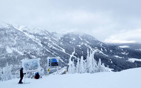 Bestes Skigebiet in den Monashee Mountains – Testbericht Red Mountain Resort – Rossland