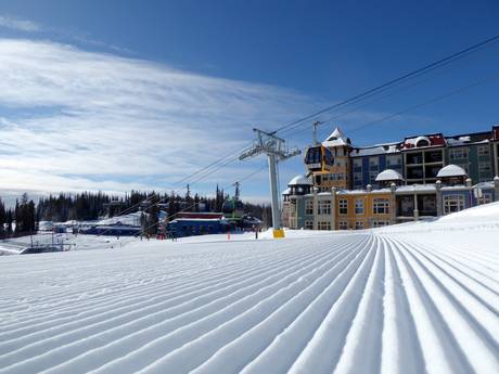 Thompson Okanagan: Testberichte von Skigebieten – Testbericht SilverStar