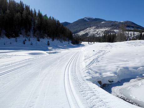 Langlauf Kootenay Rockies – Langlauf Panorama