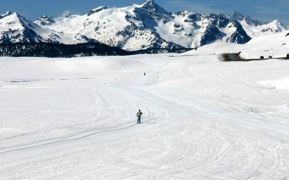 Langlauf Spanien – Langlauf Baqueira/Beret