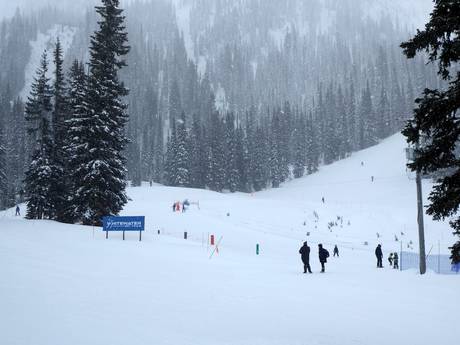 Skigebiete für Anfänger in den Selkirk Mountains – Anfänger Whitewater – Nelson