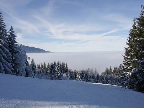 Ammergauer Alpen: Testberichte von Skigebieten – Testbericht Hörnle – Bad Kohlgrub