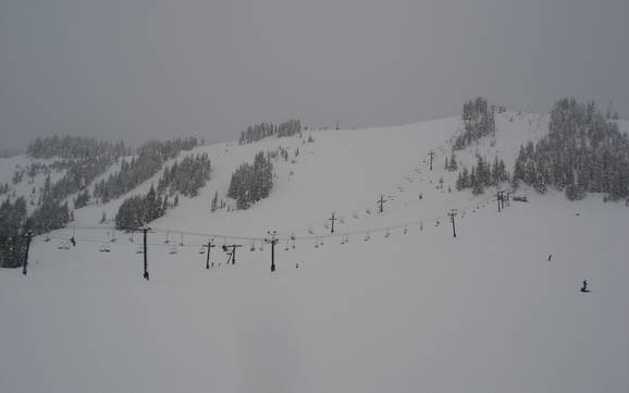 Skifahren bei North Bend