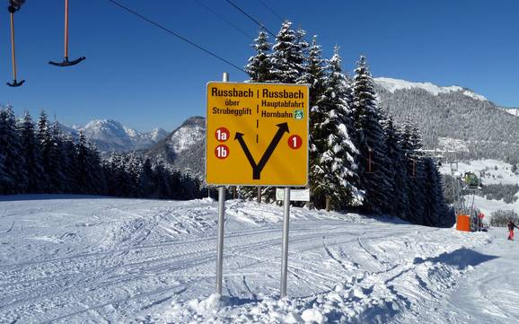 Hallein: Orientierung in Skigebieten – Orientierung Dachstein West – Gosau/Russbach/Annaberg