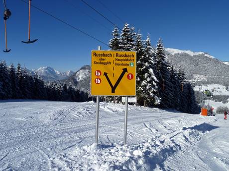 Traunviertel: Orientierung in Skigebieten – Orientierung Dachstein West – Gosau/Russbach/Annaberg