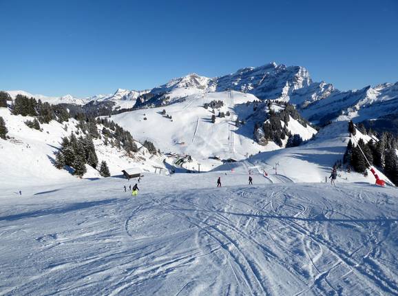 Piste Bretaye-Orsay (Villars)