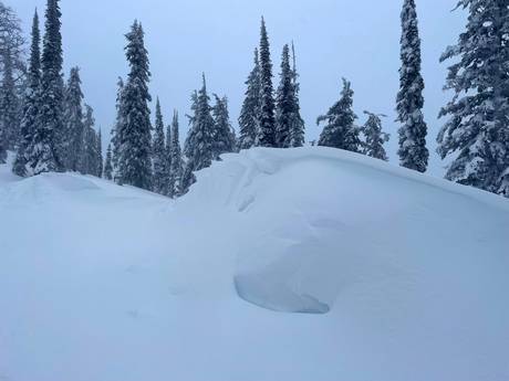 Schneesicherheit Selkirk Mountains – Schneesicherheit Whitewater – Nelson