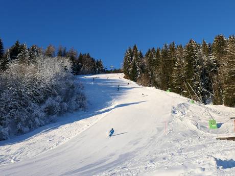 Pistenangebot Allgäu – Pistenangebot Ofterschwang/Gunzesried – Ofterschwanger Horn